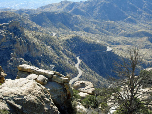Mount Lemmon