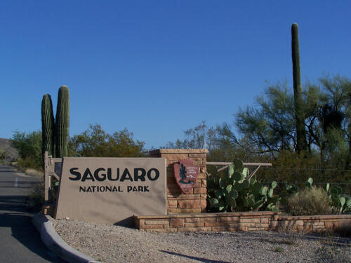Saguaro National Park East